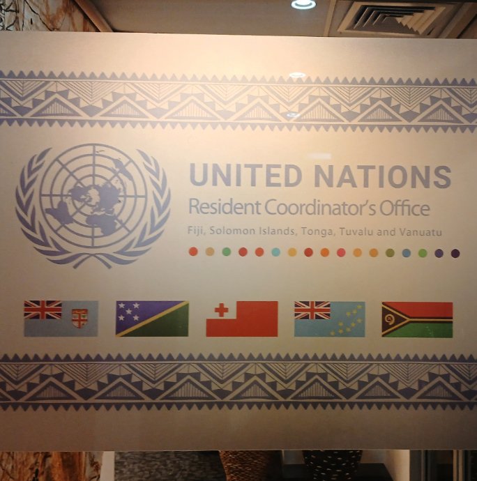 UN Printed Frosted Vinyl